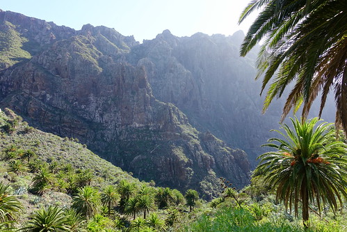 Sendero del Barranco del Infierno. Regreso a Masca con sol. - Recorriendo Tenerife (Islas Canarias). Vacaciones en la isla de los contrastes. (50)