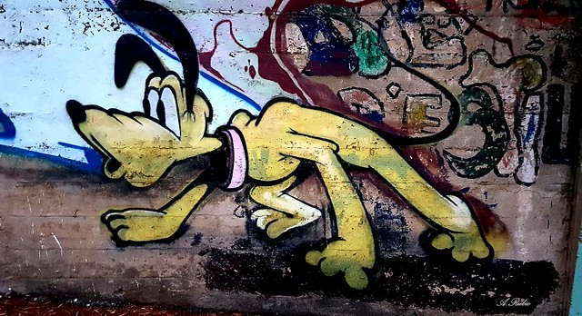 Graffitis Canovellas (50)