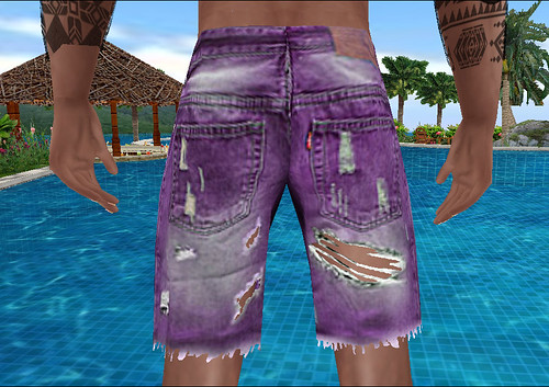 Purple Denim Shorts Ripped (M)