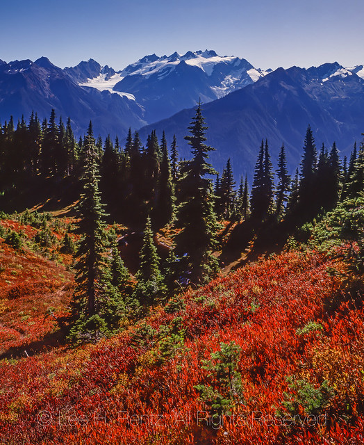 Mount Olympus Viewed from Seven Lakes Basin