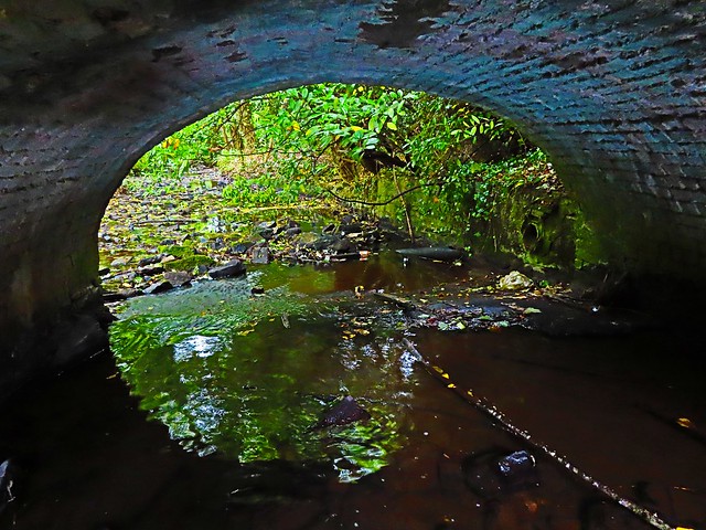 Under the Bridge The Old Mill 03-06-2020