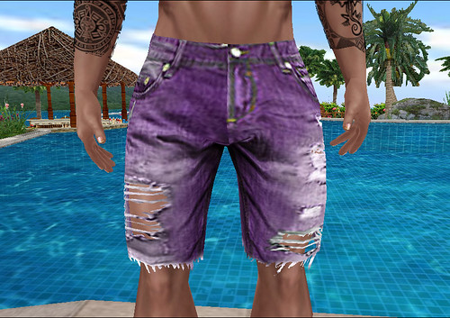 Purple Denim Shorts Ripped (M)