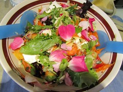 IMG_8645 salad w/ foraged  rose petals
