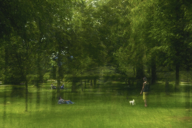 A walk in the park