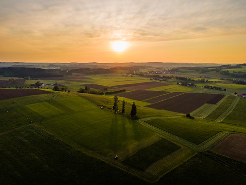 Sunset flight by stefan.bayer,