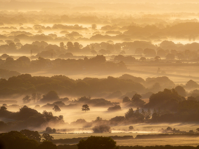 Fields of Sussex in mist