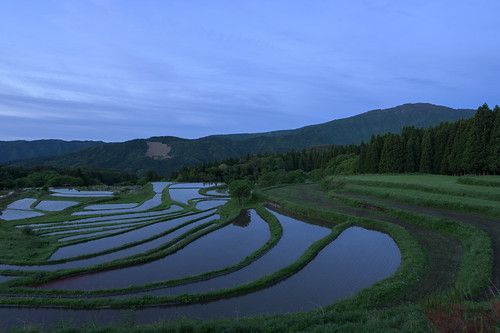 別宮の棚田4・Rice Field of Bekku by anglo10, 養父市 兵庫県 日本 japan 但馬 田園 field 棚田 朝景 sunrise 山 mountain 氷ノ山