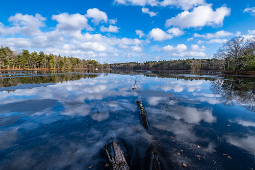clouds handheld ice lake landscape reflection sky statepark trees winter ashland ma unitedstates