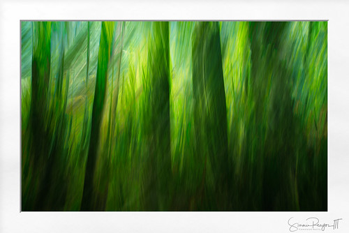 2020 abstract connecticut connecticutphotographer d750 forest haystackmountain haystackmountainstatepark icmphotography intentionalcameramovement landscapephotographer may naturephotographer nikon norfolk spring statepark woods digital unitedstatesofamerica