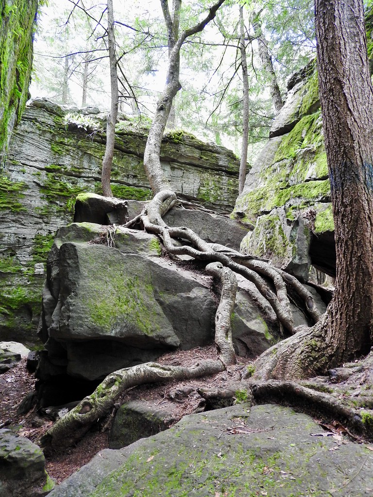 Bilger's Rocks near Grampian, Pennsylvania. Photo by howderfamily.com; (CC BY-NC-SA 2.0)