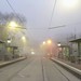 Foggy Melbourne