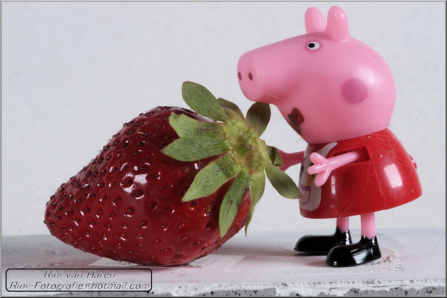 the pig and the strawberry [ explore 2020-07-09 ].
