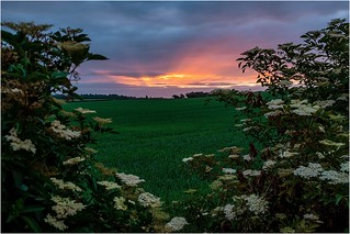 Sunrise - North Nottinghamshire.