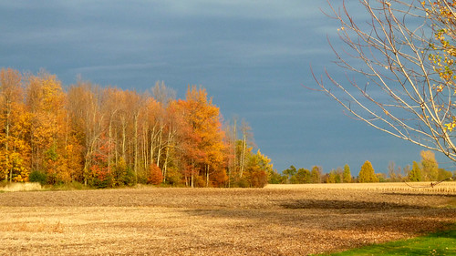 Vermont - Autumn Colours P1080666 | robsonc | Flickr