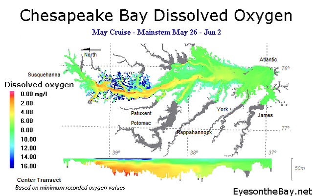 Map of Chesapeake Bay Dissolved Oxygen for May 3030