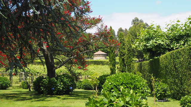 Jardines del Pazo de Señorans (2).