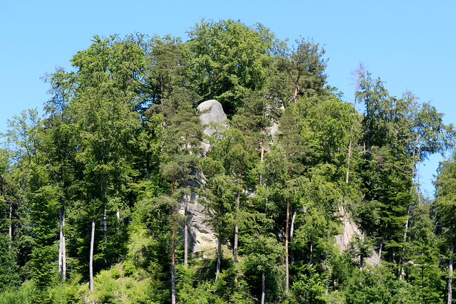 Elefant am Bantiger ( Sandsteinfelsen Felsen Sandstein ) im Wald bei Gehristein - Geristein ob Bolligen in der Nähe von Bern im Berner Mittelland im Kanton Bern der Schweiz