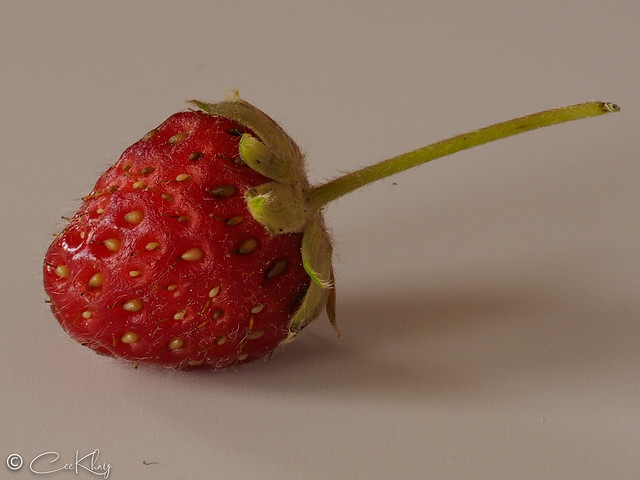 tiny strawberry Makro