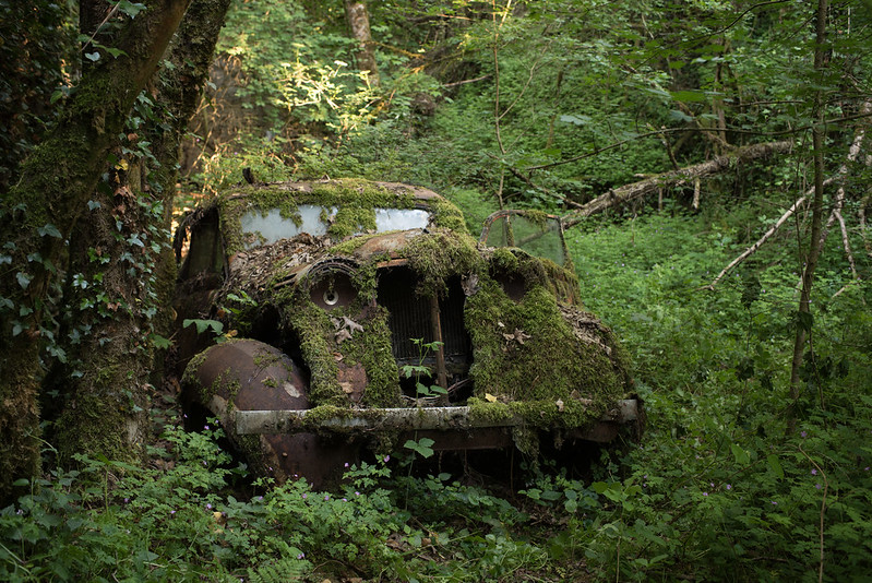 Cars in woods (Voitures perdues/abandonnées dans le bois) ***UPDATE Mars 2023*** 49988830407_5e7737cda7_c
