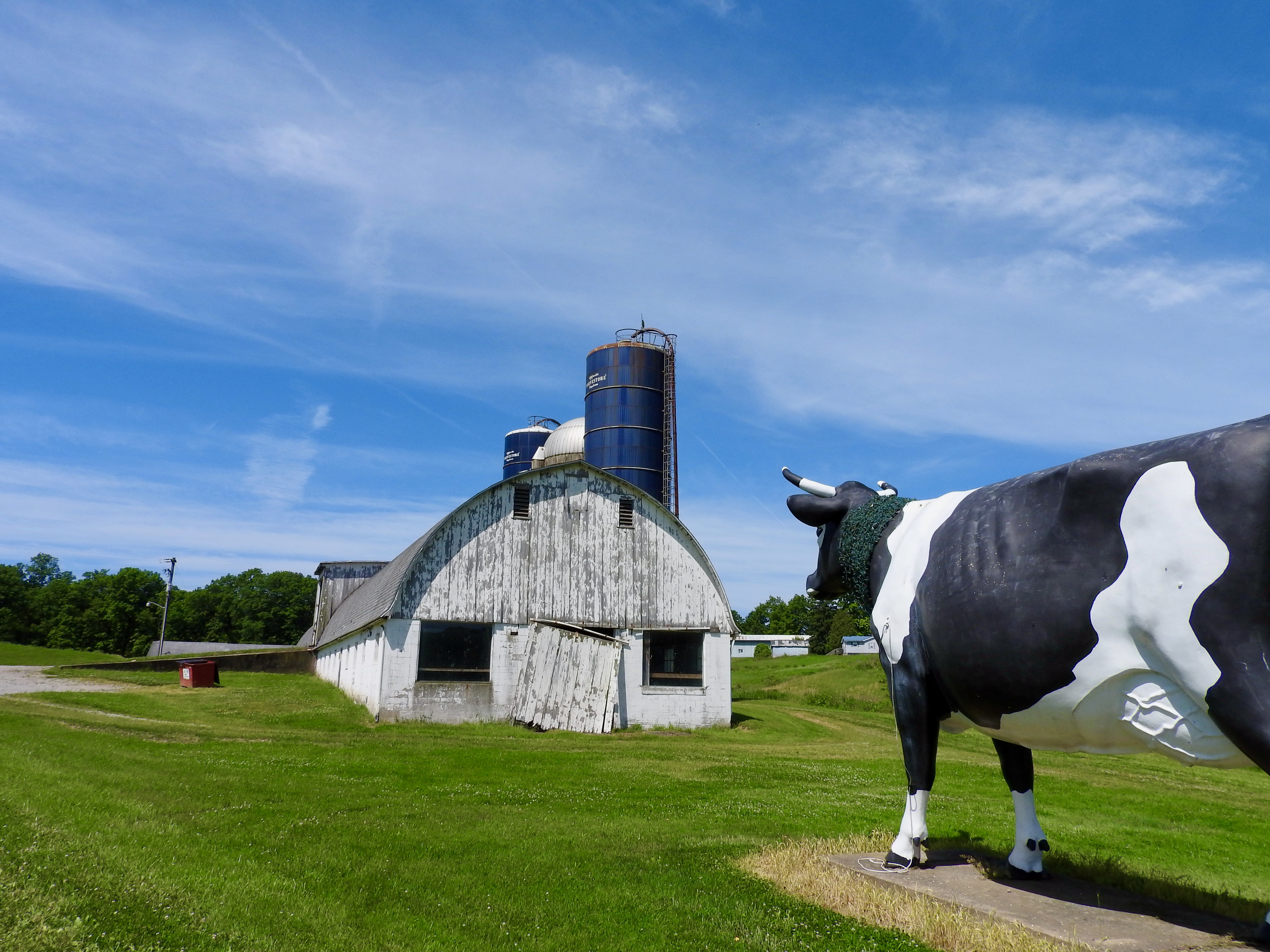 The Big Cow near Sligo, Pennsylvania