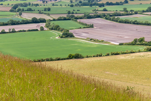wiltshire landscape roundway down hillfort farmland field patchwork