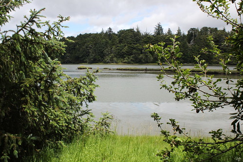 south slough natural estuarine research reserve charleston oregon coos bay county hiking coastal forest