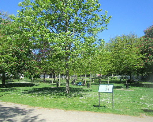 Singing Trees, Aalborg, Baltic cruise