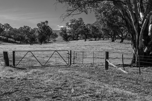 australia victoria tallarook rural agriculture landscape fence gate naturalframe monochrome blackandwhite