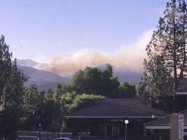 Flames in the Hills
