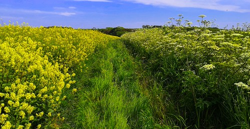Sea Barn Farm by charlie raven, Dorset walks
<a href="http://www.charlieraven.com" rel="noreferrer nofollow">www.charlieraven.com</a