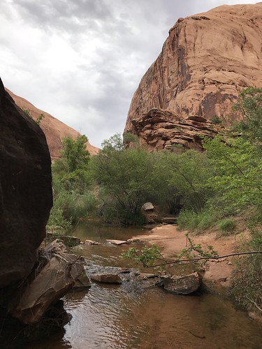 Stream running through Grandstaff Canyon. From History Comes Alive on Moab’s Hiking Trails