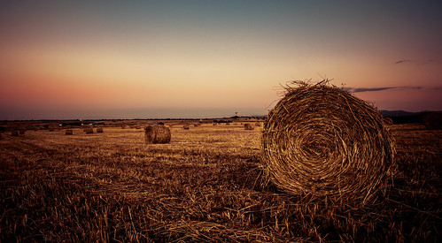 no people outdoors agriculture hay agricultural field bale landscape scenery rural scene nature sky day harvesting farm tranquil scenics canon spain extremadura peraleda rubenkeke 90d tourism tourist summer hot harvest farmer farming life love sunset