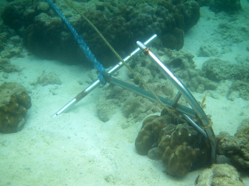 Underwater photo of an anchor which has hit a coral to show the damage anchoring can cause. 