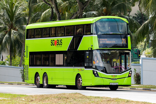 SBS Transit | SG4003D | 71