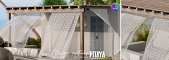 Pitaya - Flowing curtains - Pop-up event