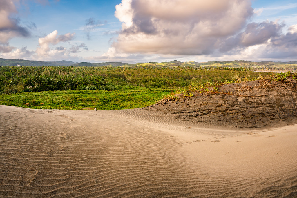 Fiji / Footsteps in Sigatoka Sand Dune National Park I