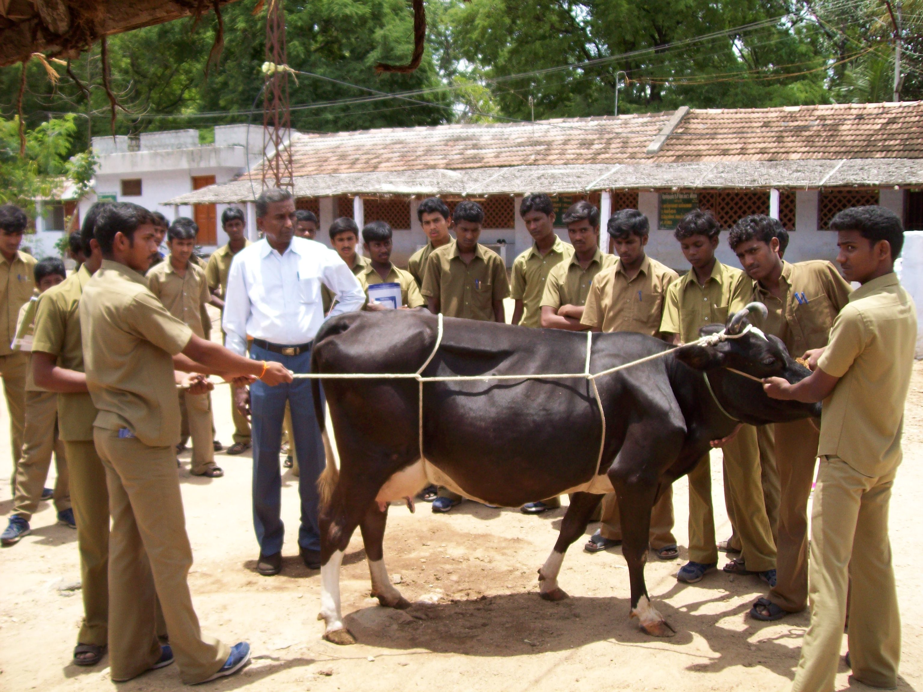 Animal Sciences – IARD || Diploma in Agri at Coimbatore