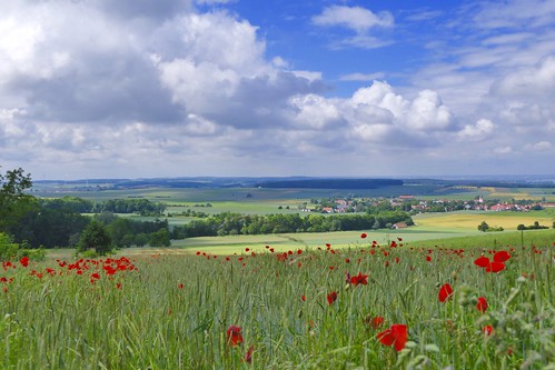 sammenheim gelberberg mittelfranken franken landscape country scenery poppies field clouds village