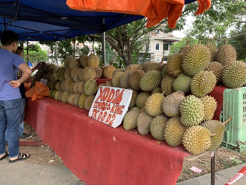Durian Craze 2020