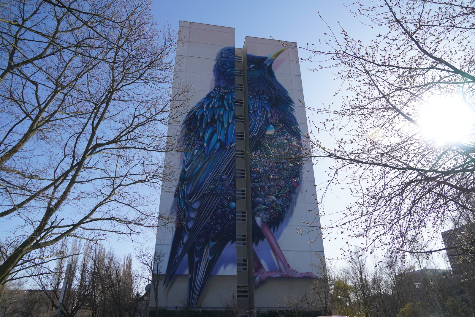 "The Starling" Mural von Collin van der Sluijs und Super A