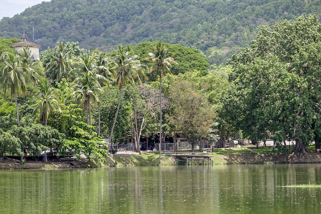 Ang Kaew Reservoir (22 sur 121)