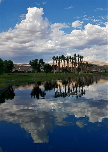 clouds white cumulous reflection photography california weather tree palm color lake water nature beautiful mirror blue moonjazz palmdesert sunny vivid sky atmosphere highpressure high