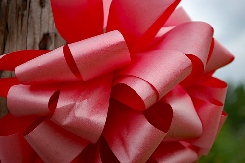 Faded Red Bow. | by dccradio