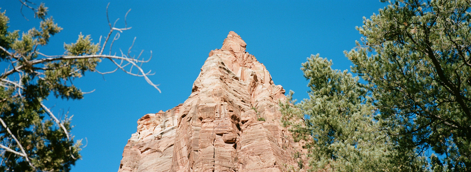 Zion National Park