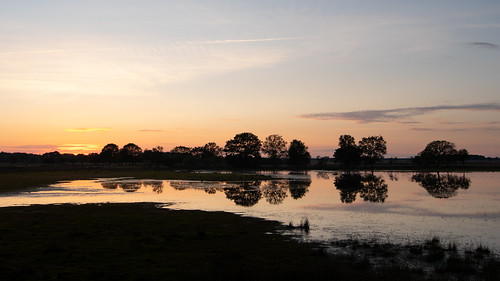 water nederland zonsondergang silhouette spiegeling provinciedrenthe thenetherlands オランダ drenthe netherlands sunset reflectie reflection ruinen ven pond