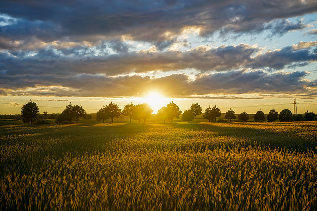 Sonnenuntergang über den Feldern_Sunset over the fields
