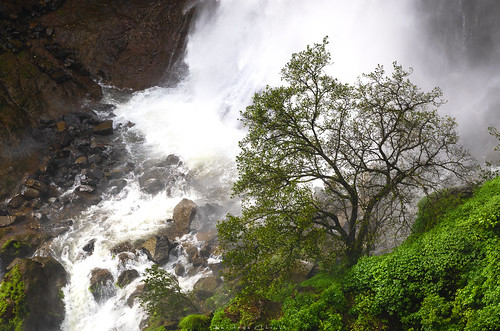 onetree tree waterfall thoseghar maharashtra landscapes indiantravel travelindia monsoontravel rocks
