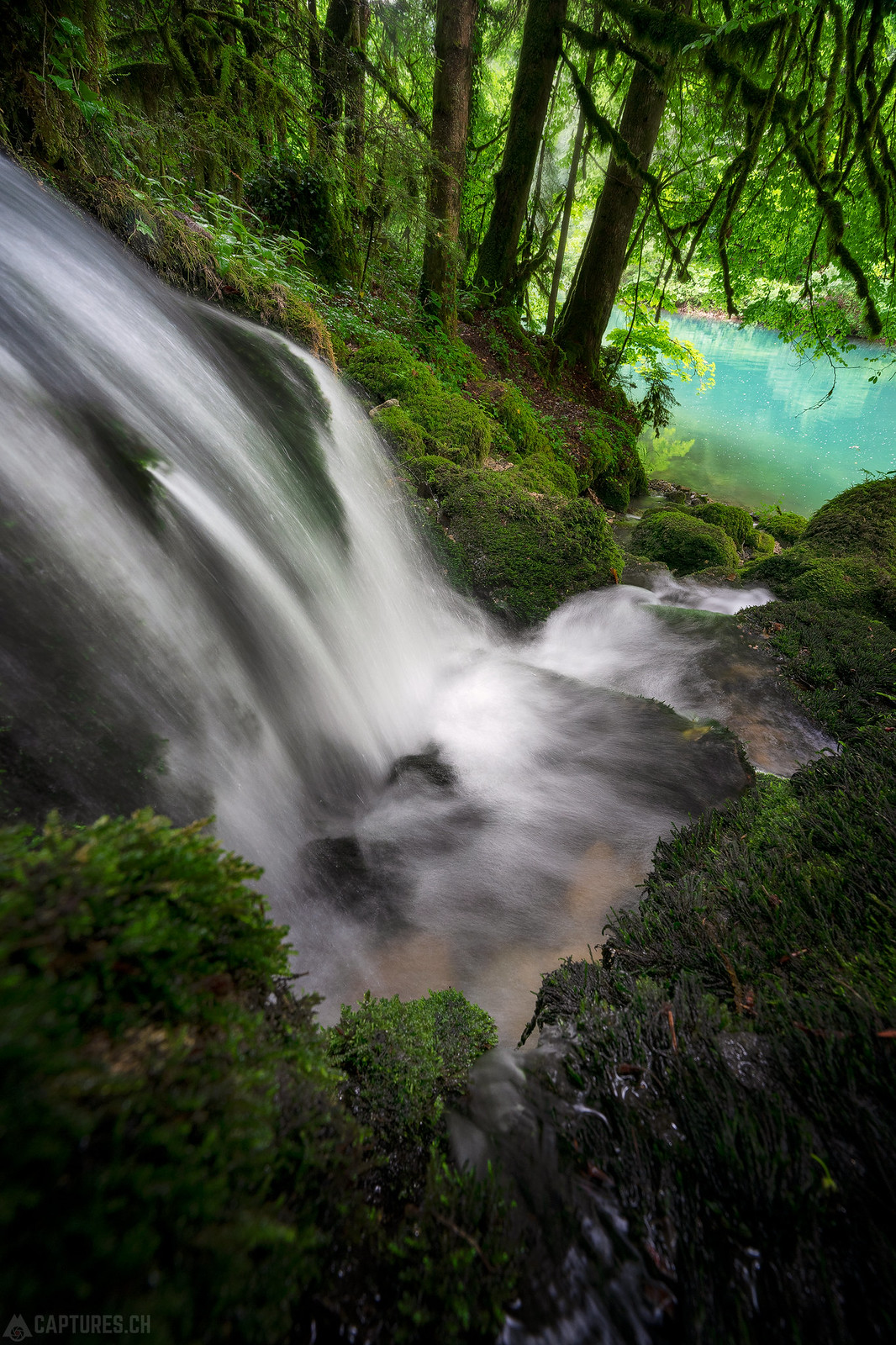 Stream in the green lake - Gorges du Pichoux