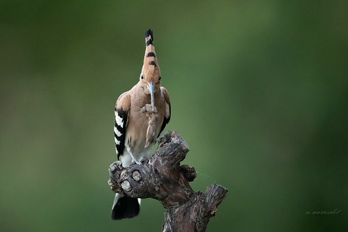 comp_2AZ2I7609 | by Ra.marwedel