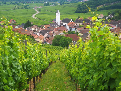 alsace paysage village clocher église vignoble europe france vue view verdure green road roof panorama
